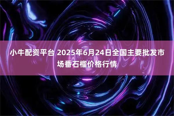 小牛配资平台 2025年6月24日全国主要批发市场番石榴价格行情