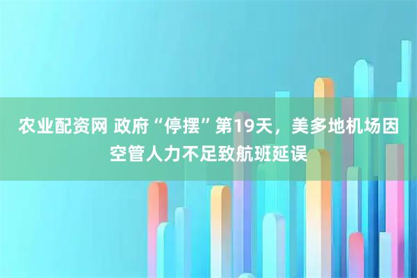 农业配资网 政府“停摆”第19天，美多地机场因空管人力不足致航班延误