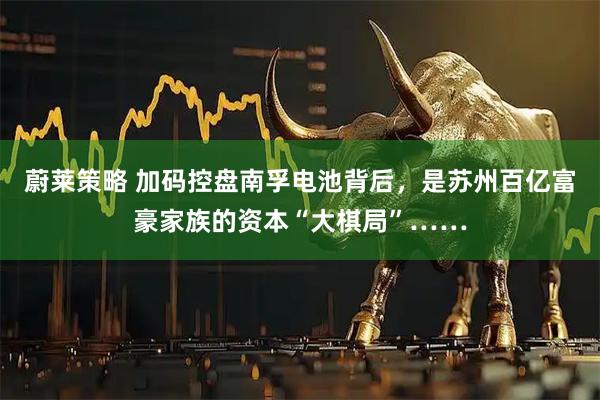 蔚莱策略 加码控盘南孚电池背后，是苏州百亿富豪家族的资本“大棋局”……